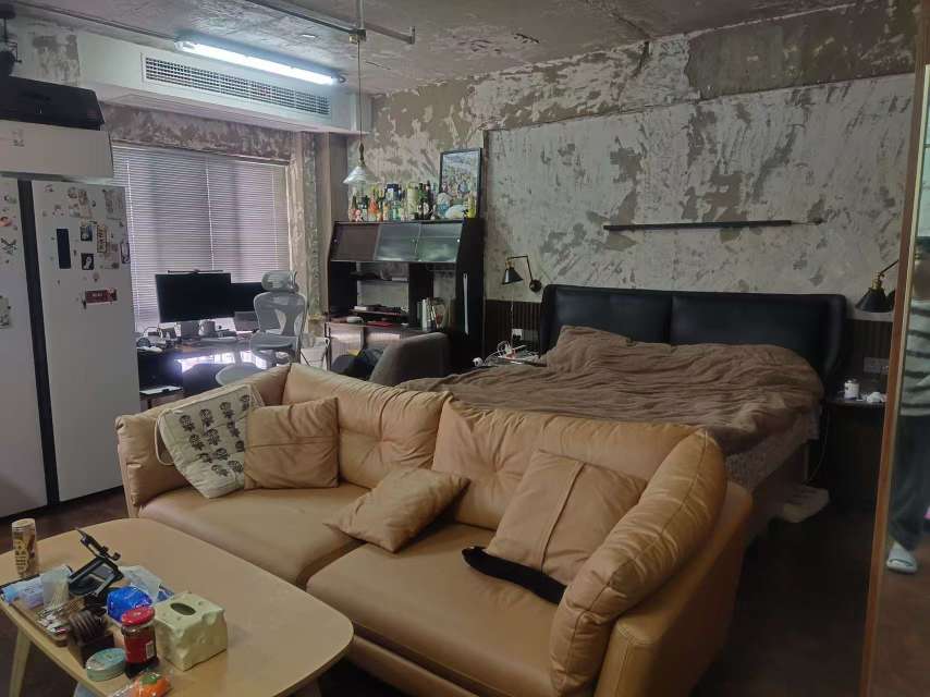 龙湖中心 71平 精装两室 配套齐全 随时看房_3