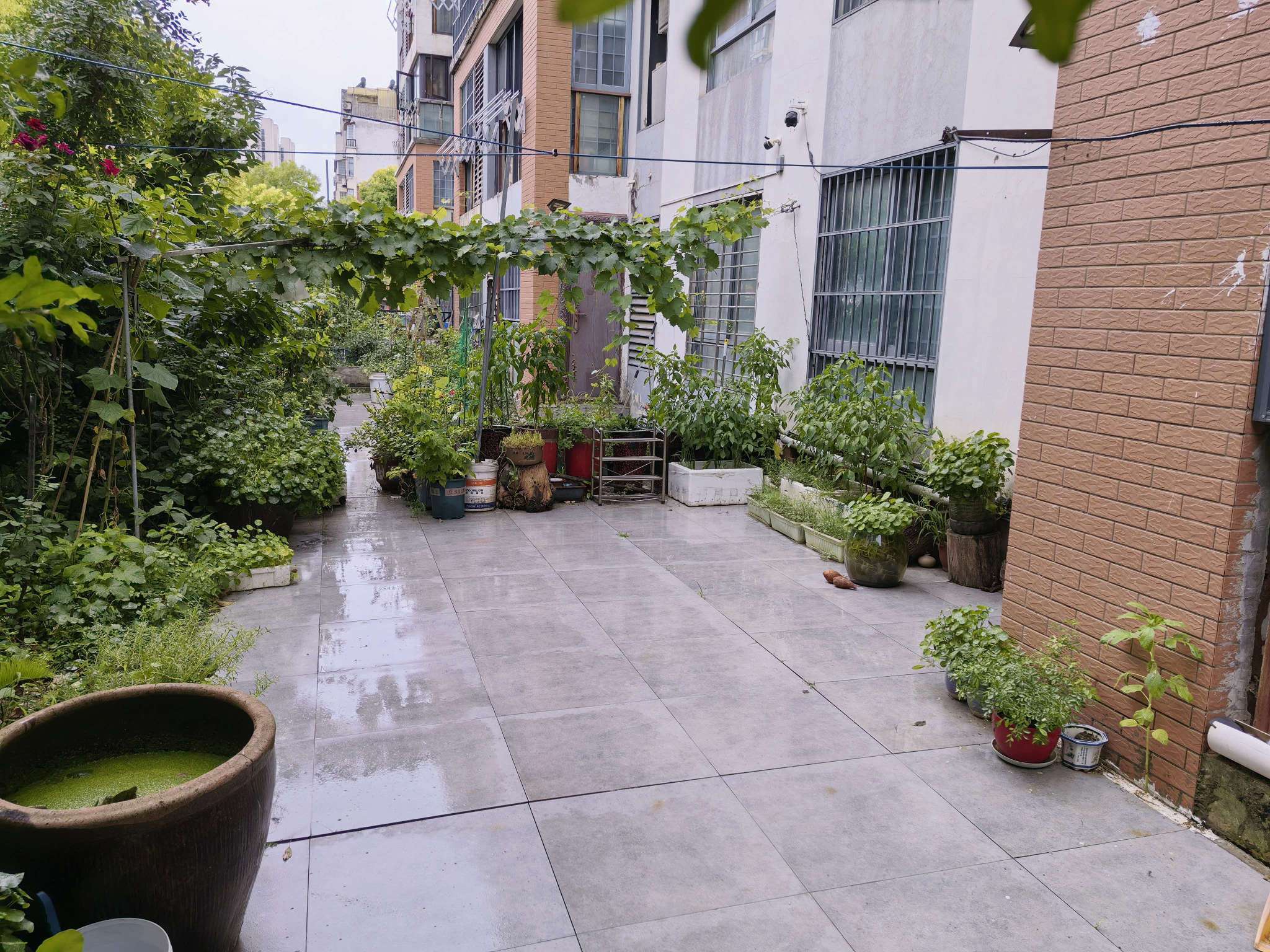 淮河新城二期 88平 精装两室两厅 学区房 采光好 随时看房_11