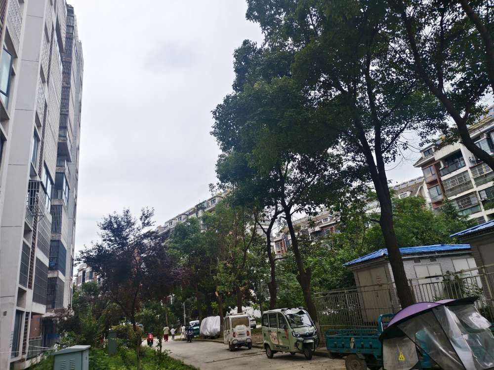 新袁庄B区 70平 两室一厅 满两年 采光好 随时看房_4