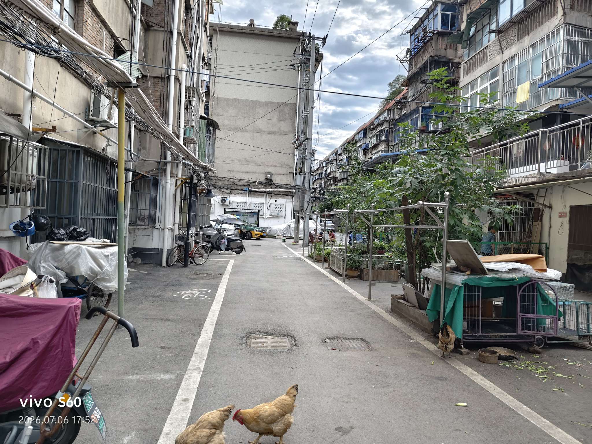 新华村 47平 南向一室一厅 简装月租300元 交通便利_7