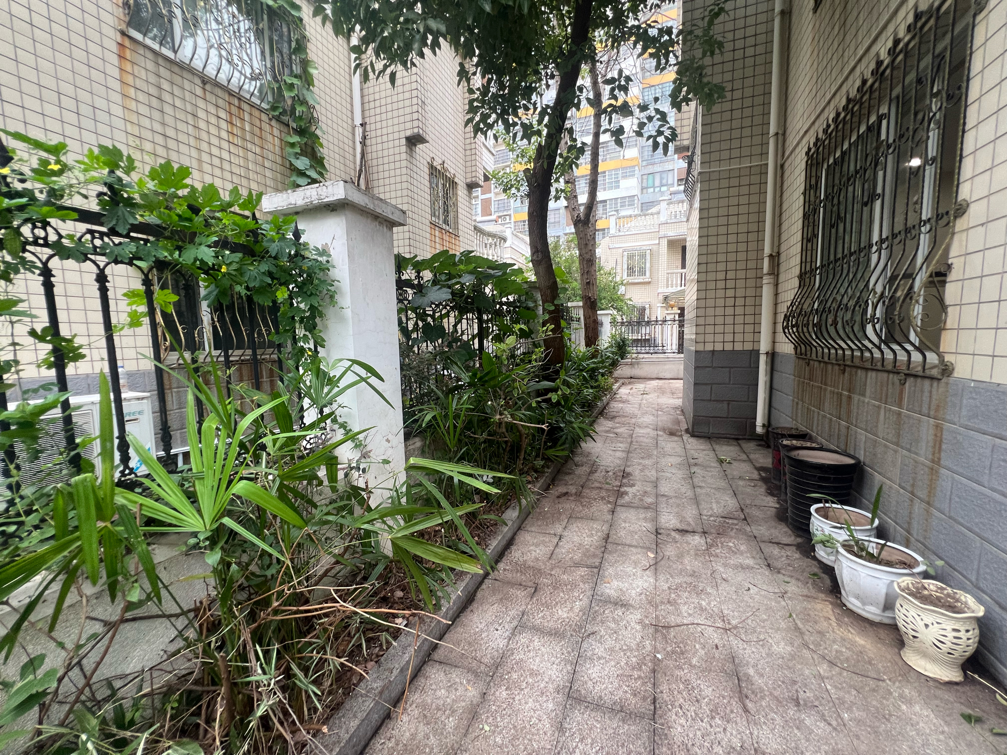 东苑小区西区 270平联排别墅 精装三室 交通便利配套全_19
