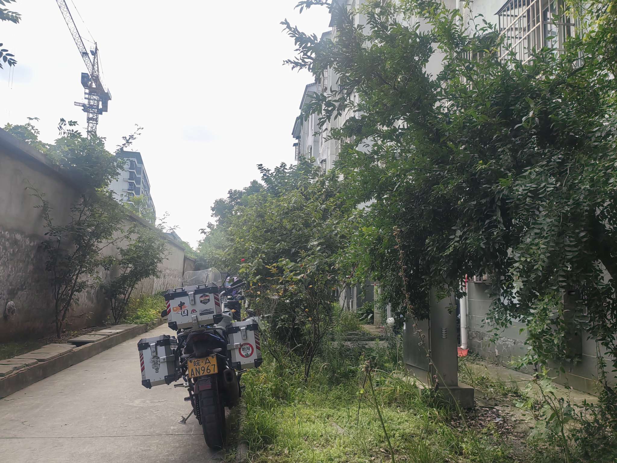 新家园C区 79平 两室一厅 低总价 交通便利 学区房_10