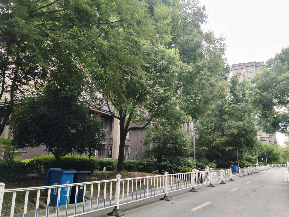 南山院 119平 三室两厅 满两年 配套齐全 交通便利_12