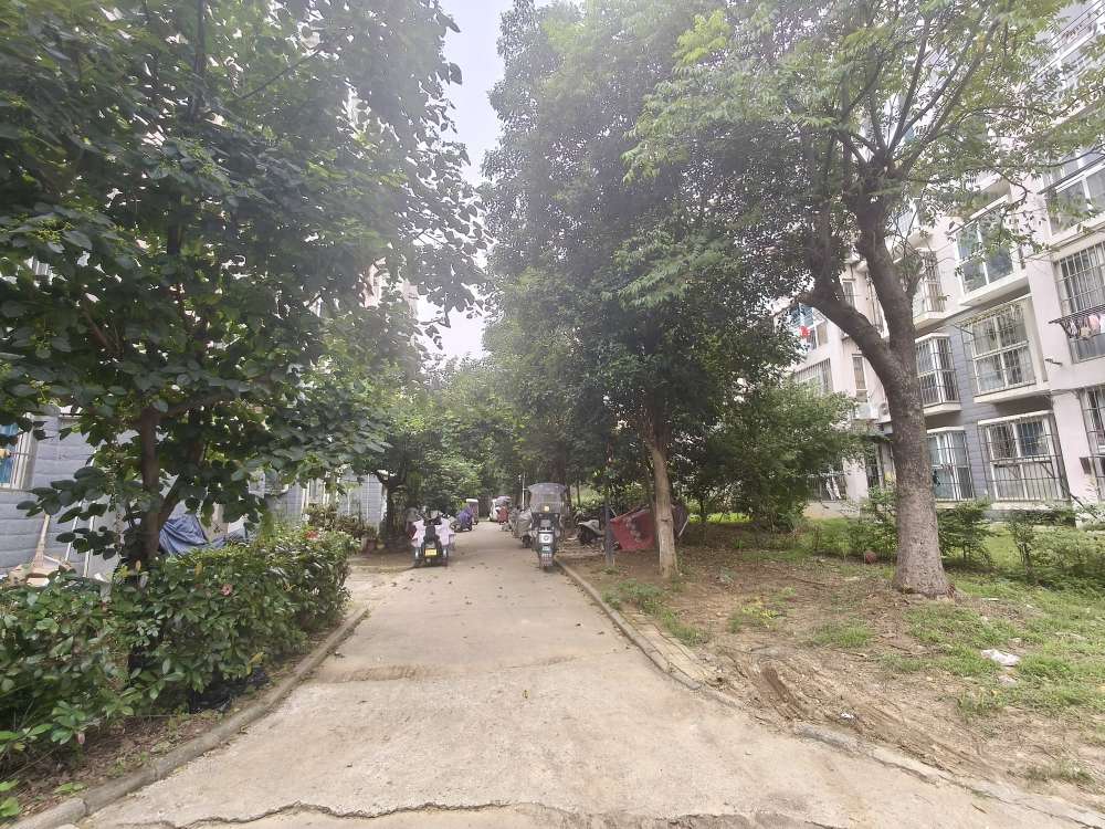 谢三村南区 82平 两室两厅 交通便利 学区房 普装_12