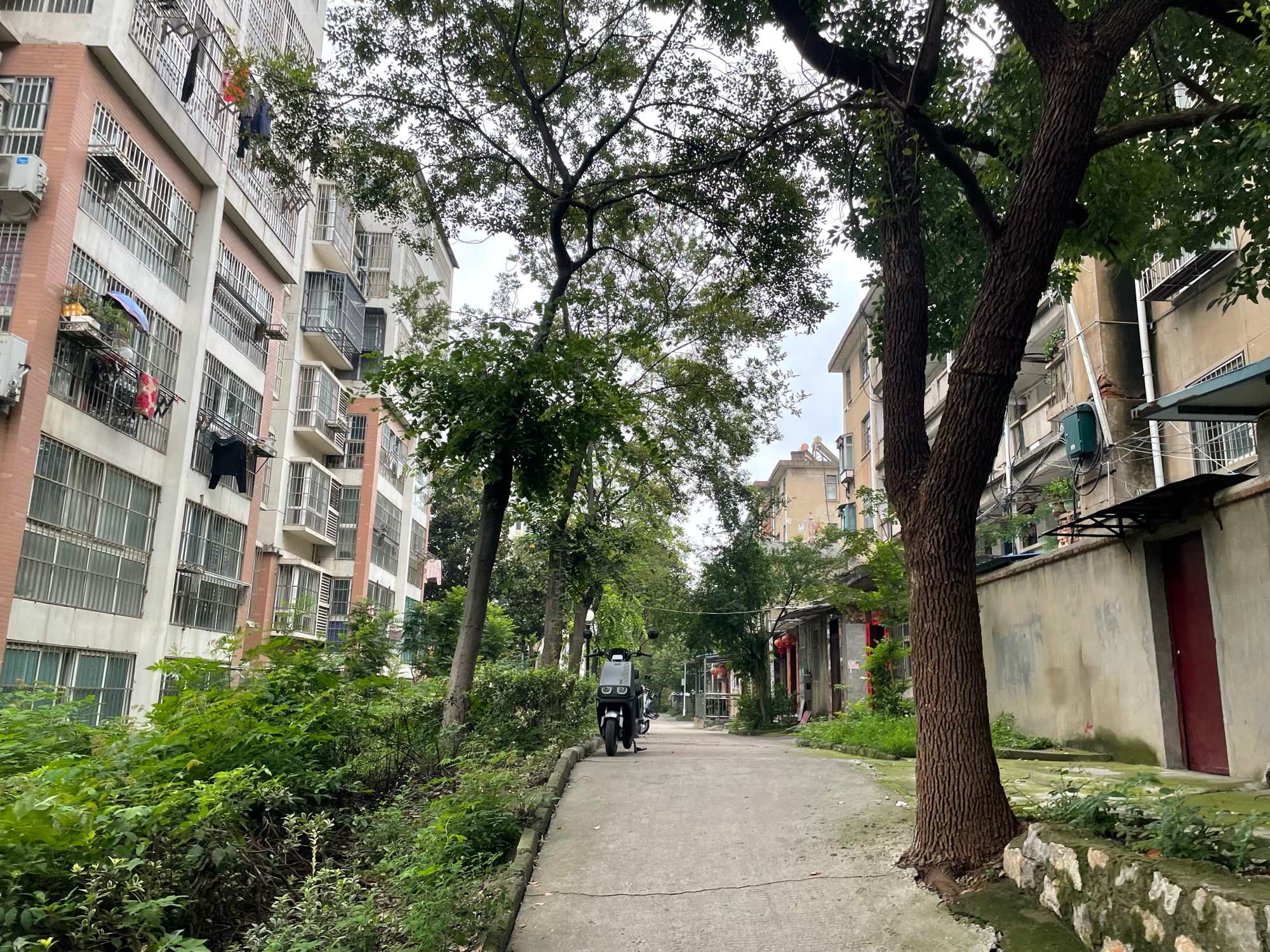 建南村老楼 45平 南向两室一厅 学区房 交通便利 简装_12