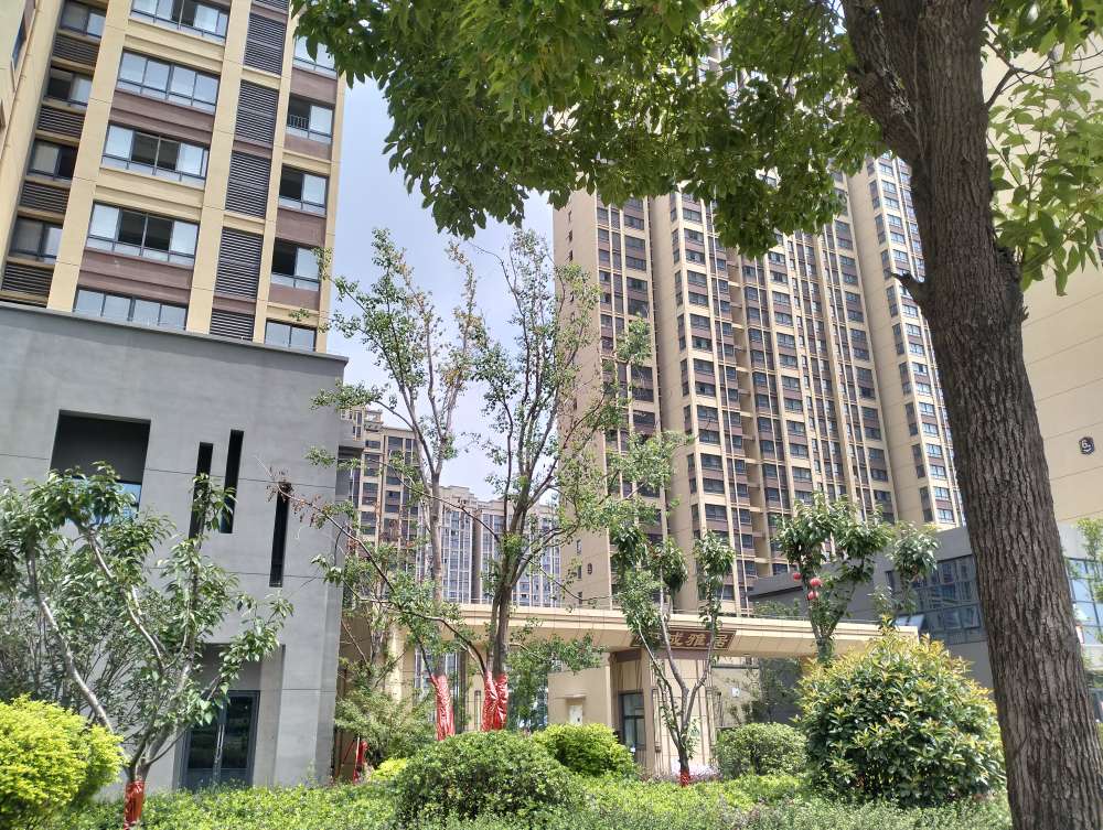 安成雅居二期 126平三室 东向采光好 毛坯随时看房_8