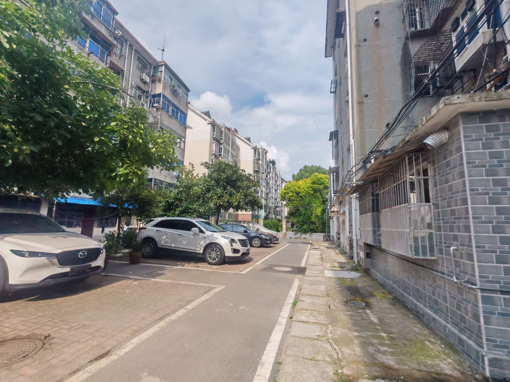 望峰岗跃进门西村71平南向两居交通便利采光好_8