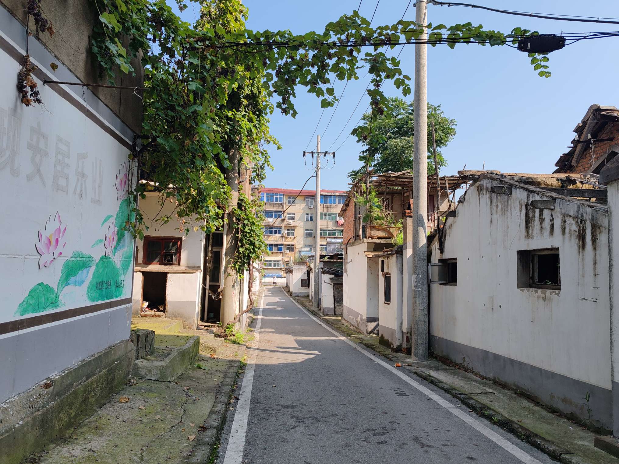 合成村 58平 南向两居 简装 交通便利配套全_12