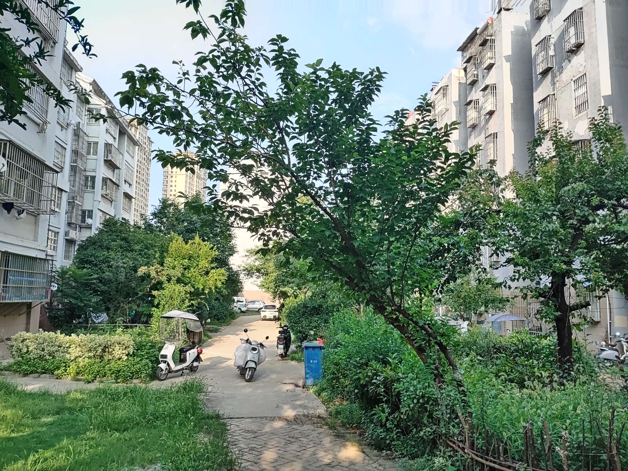新家园A区 89平 南向三室 交通便利 简装_14