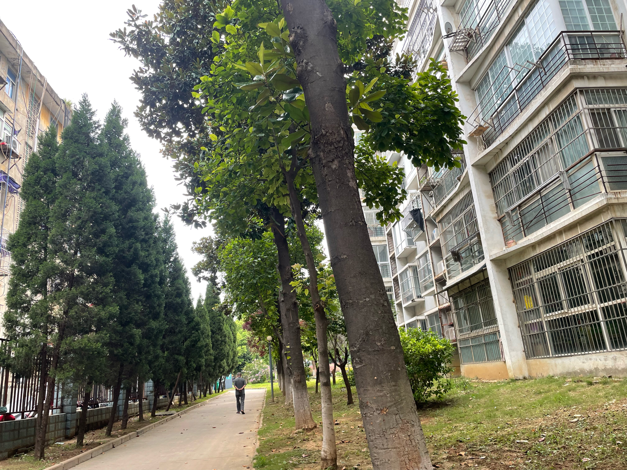 水泥厂支架村 116平 南向三室 简装满两年_16