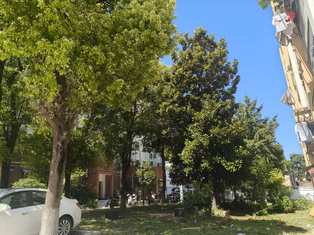 玉露苑 70平 南向两室两厅 中楼层 简装出租 交通便利_13