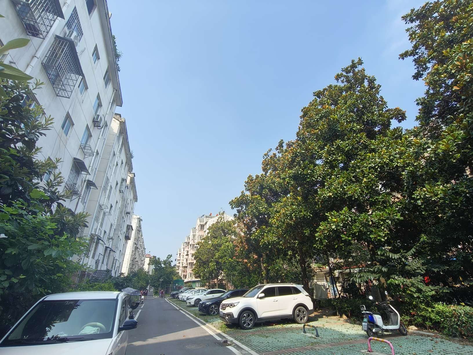 新社四村 91平 三室一厅南向采光好 交通便利 低总价安家优选_8