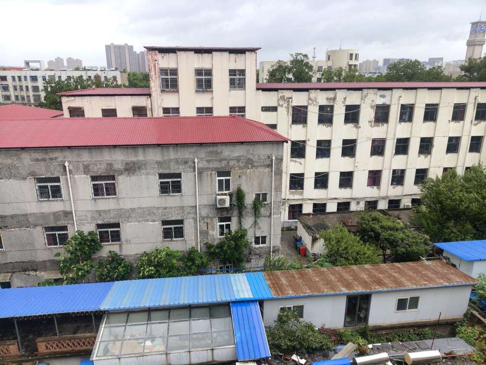 粮食局大院 65平 南向精装三室 学区房 交通便利_19