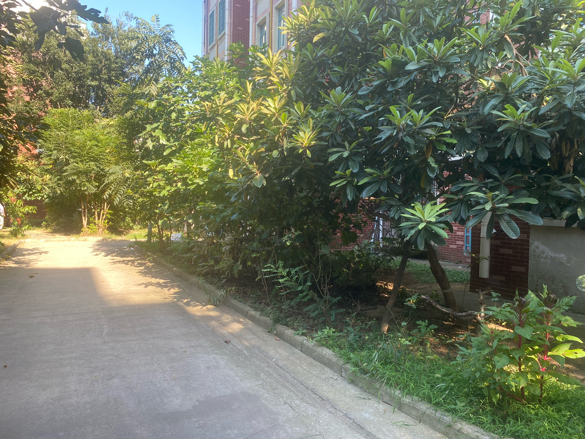 路东村 99平 精装三室两厅 交通便利 配套齐全_12