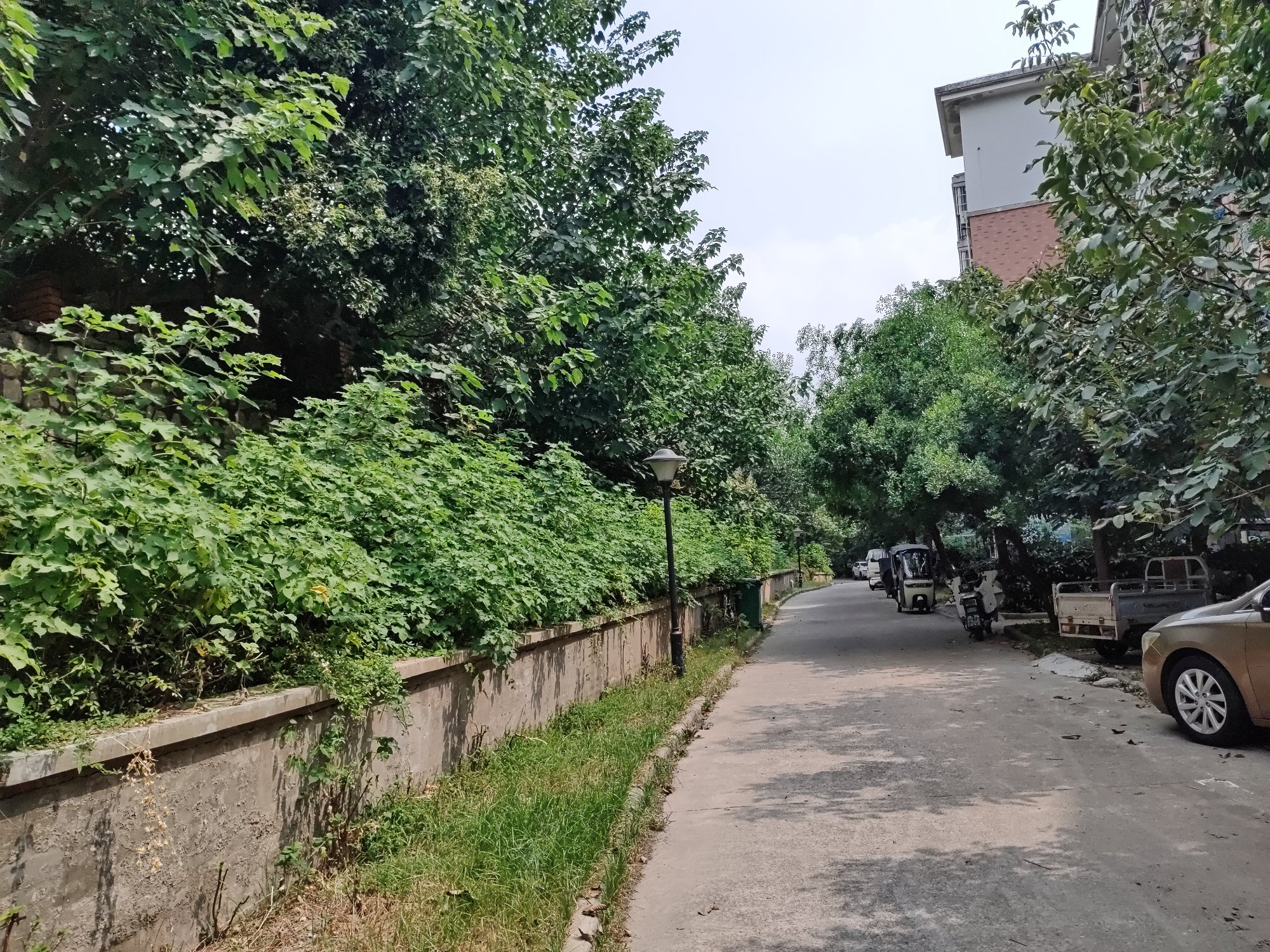 锦绣康城 125平 三室两厅两卫 交通便利 环境好 2000元/平_14