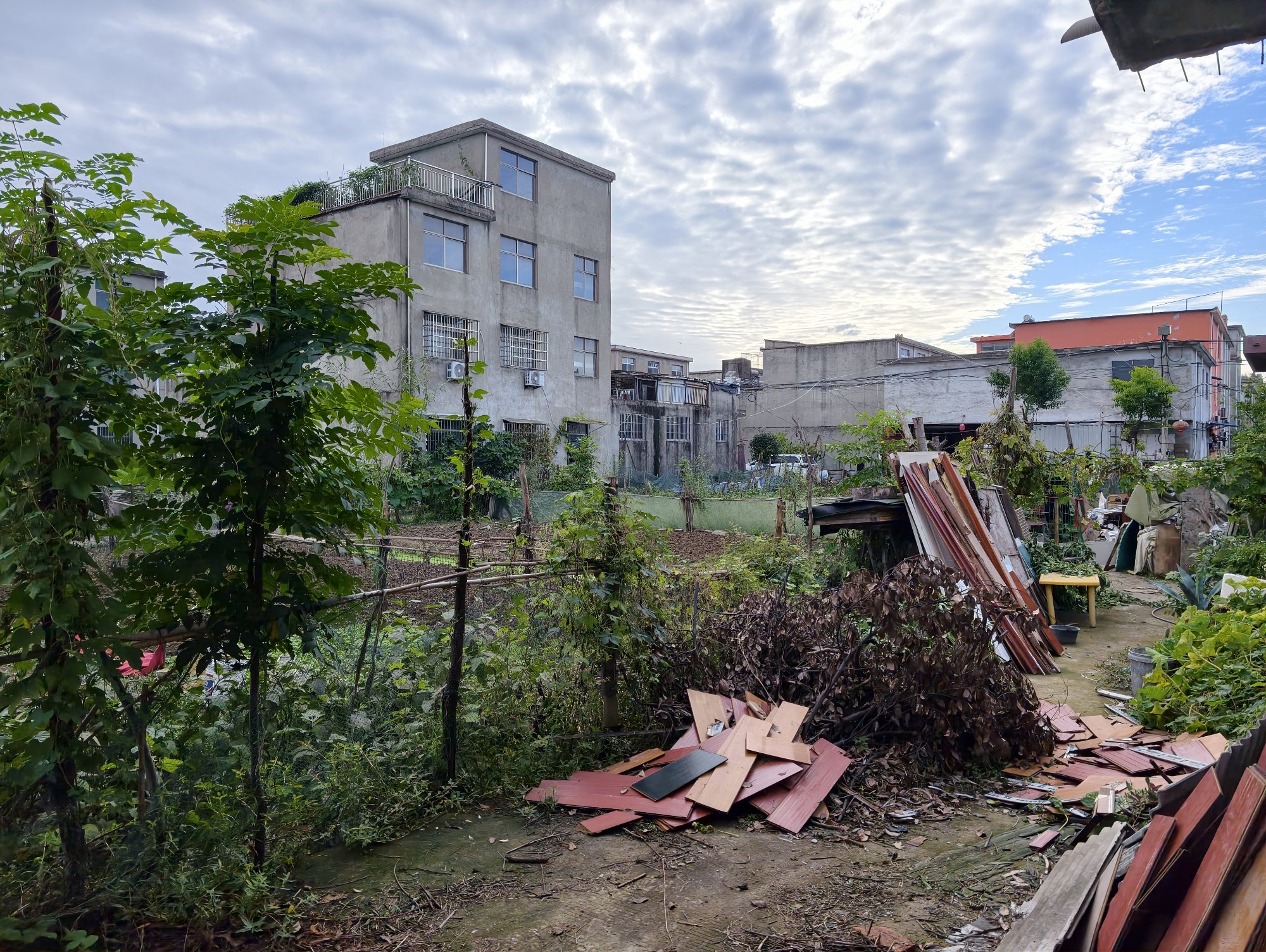 李圩新村 340平 朝南六室大宅 精装 随时看房_10