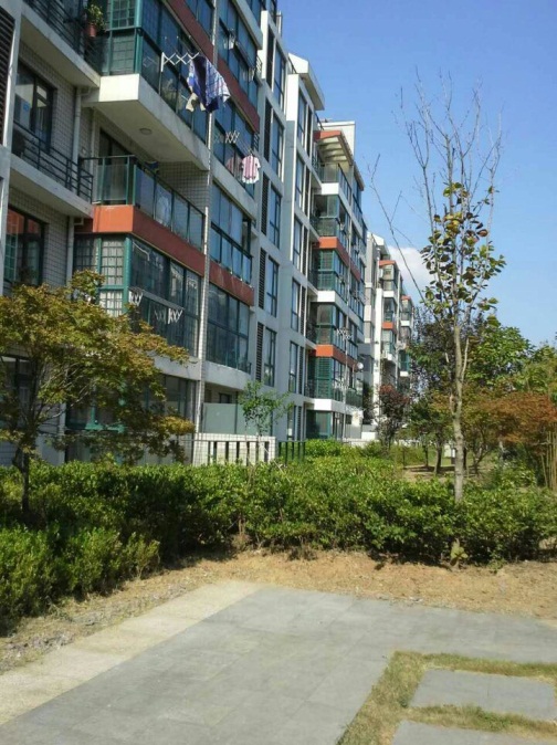 南山村a区好房出租