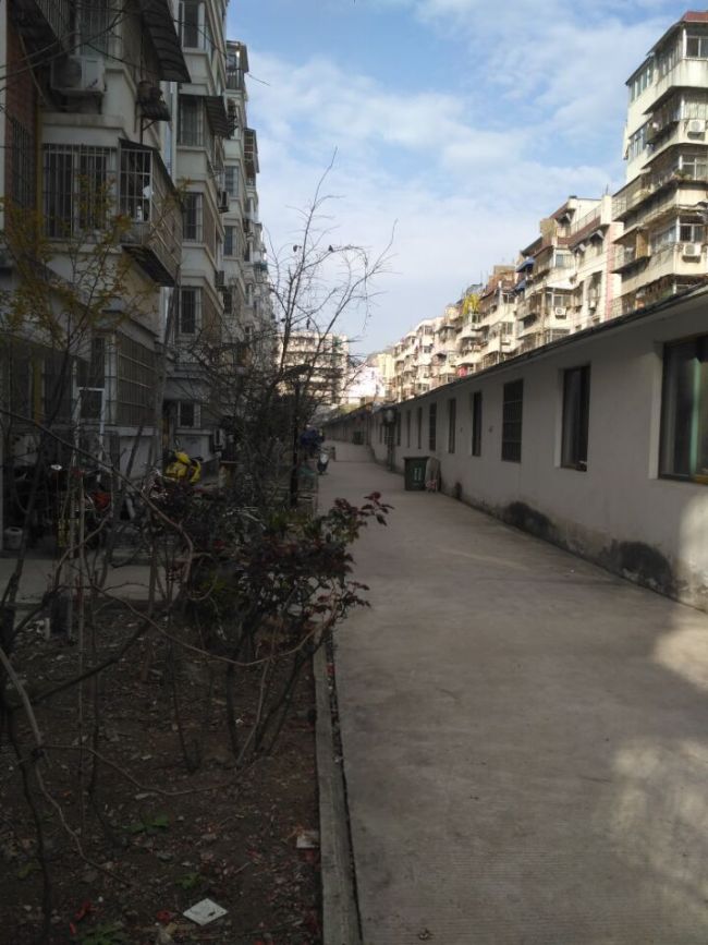 金豪阳光花园七楼毛坯好房出售