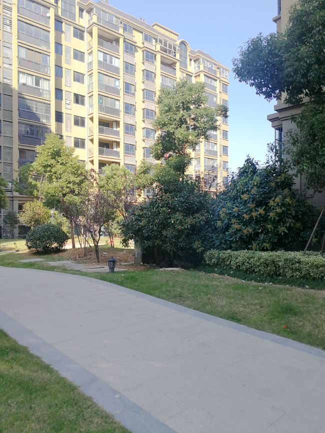 壹代城位于山南新区毛坯3室2厅-淮南山南新区租房-安徽淮南朝阳房产网