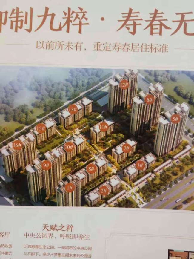 寿县御景学府一期高层低价出售