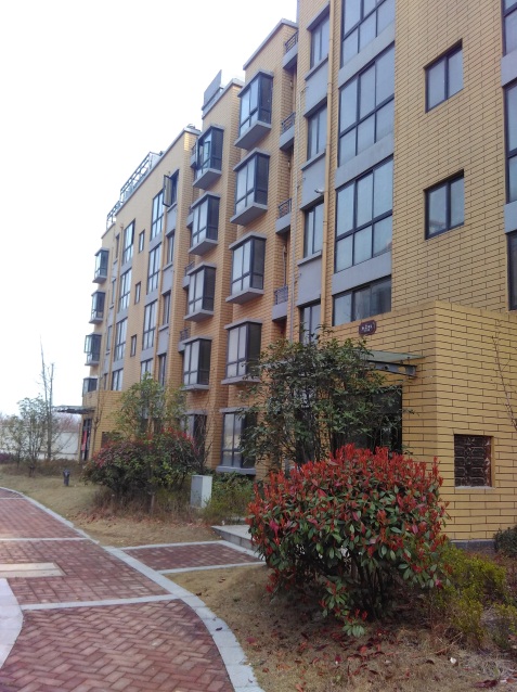 半山家园3室2厅2卫 1楼有院子