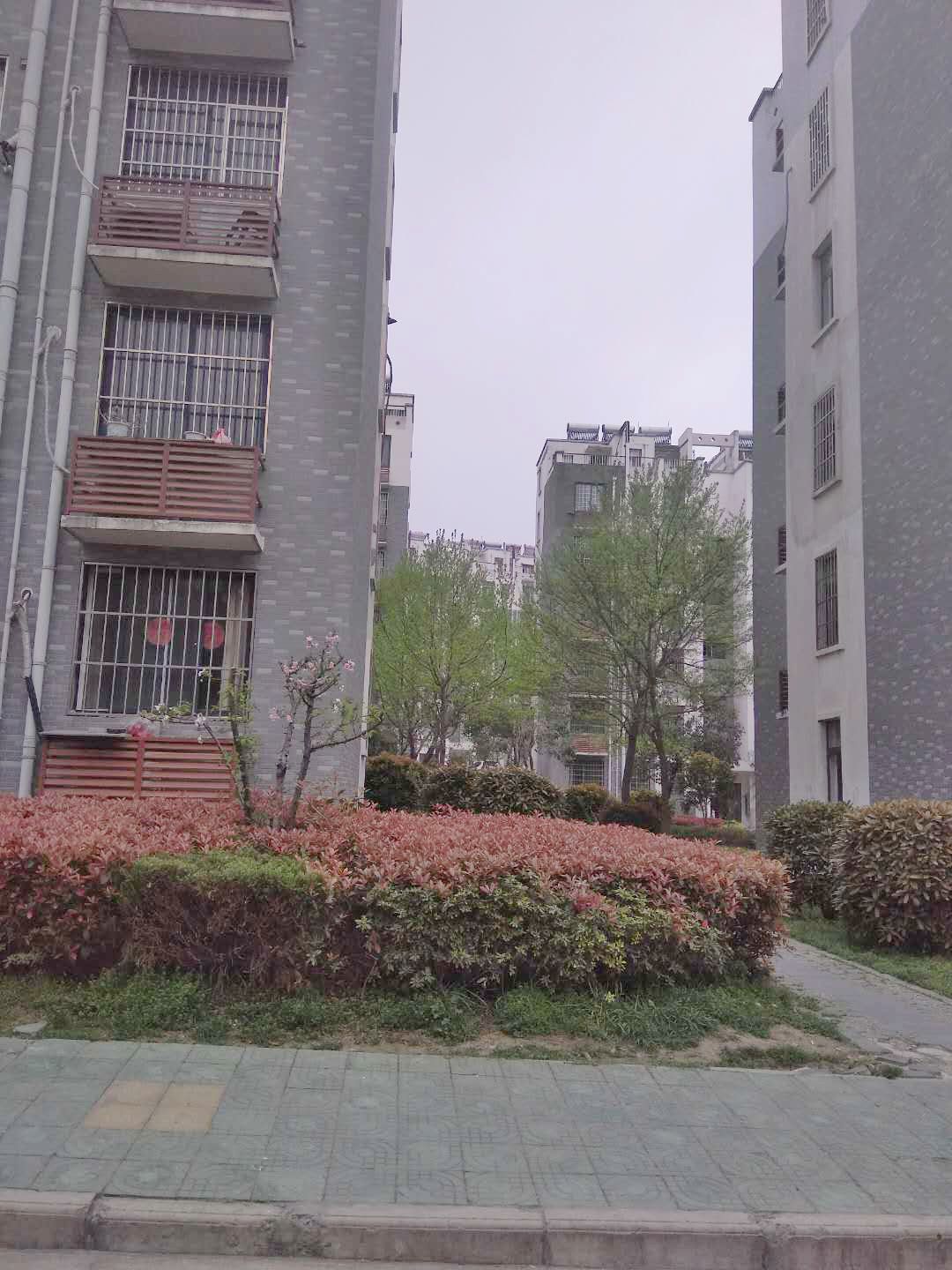 淮南南岭村图片