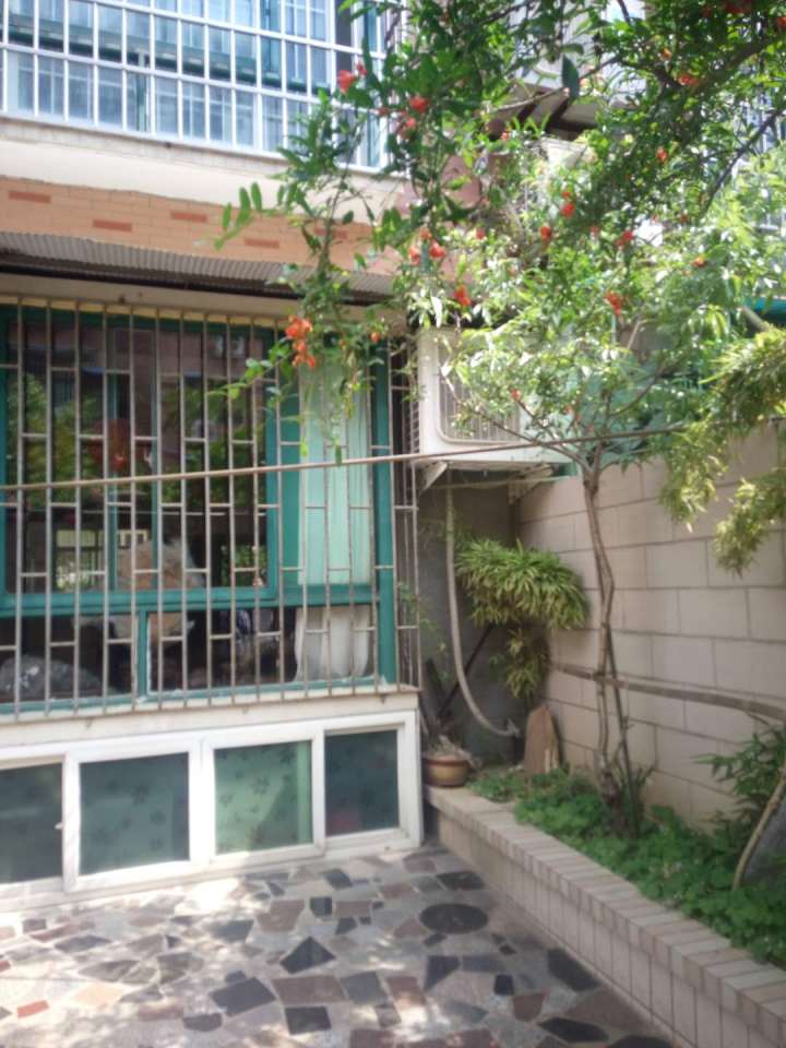东苑东区3室2厅精装一楼带院子好房出售