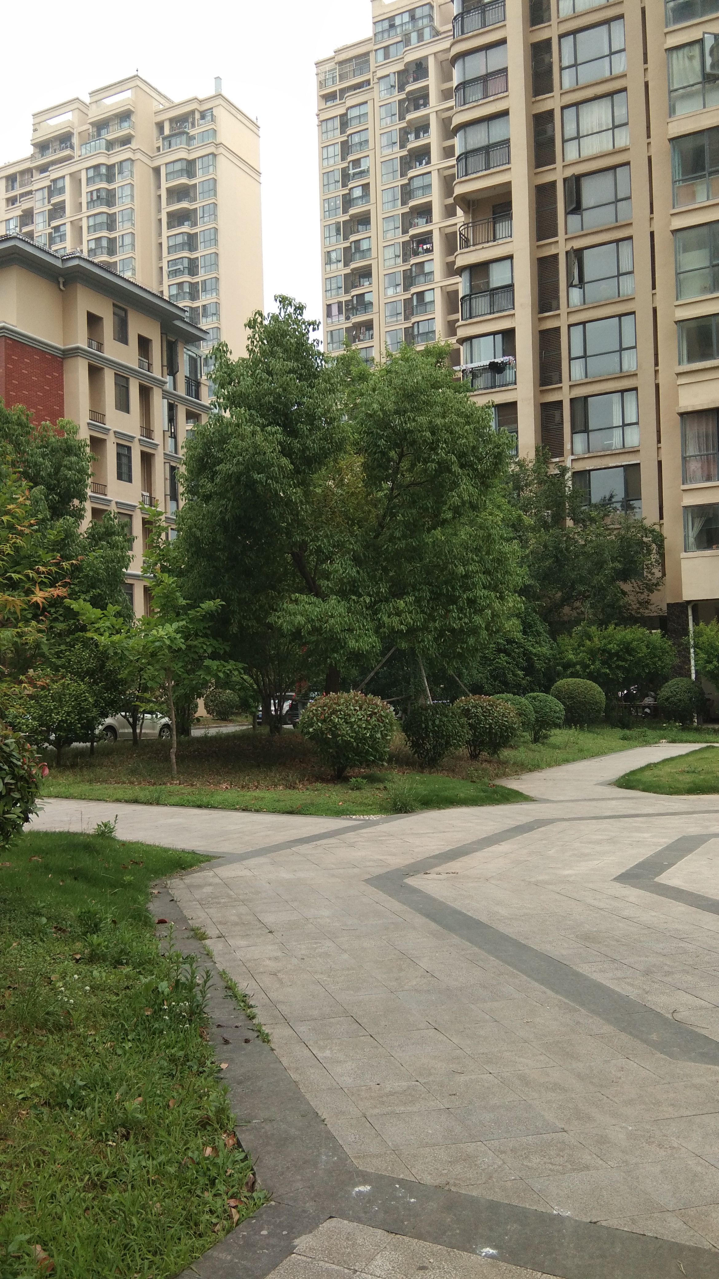 西湖春天吉房出售