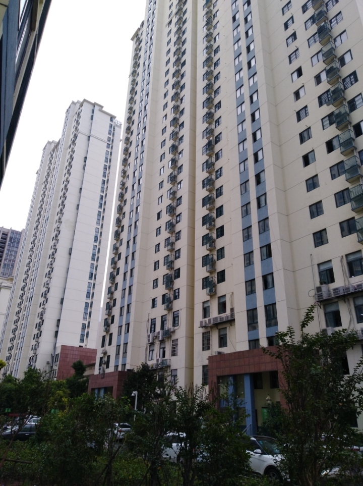 玺园3室2厅精装出租 拎包即住-淮南田家庵区租房-安徽淮南朝阳房产网