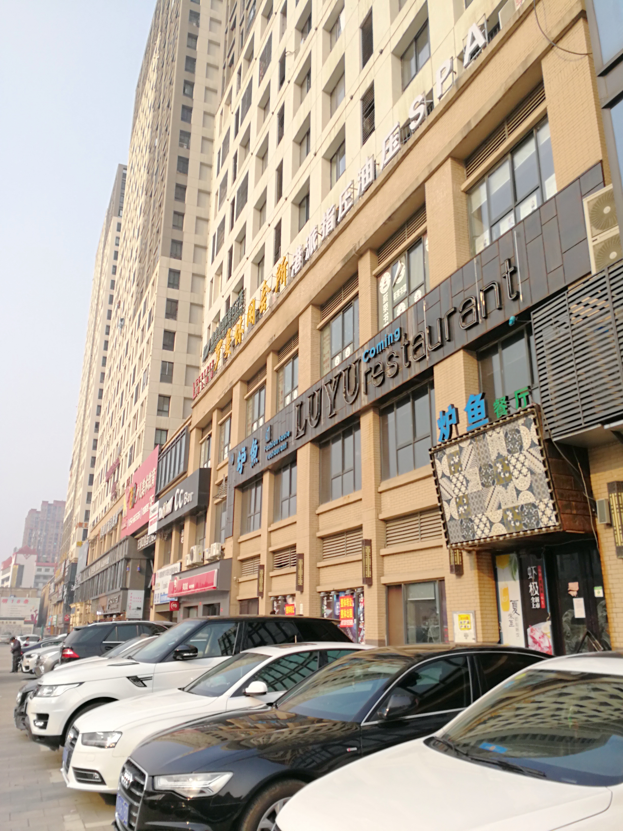 龙湖中心位于学院南路东精装小公寓拎包即住