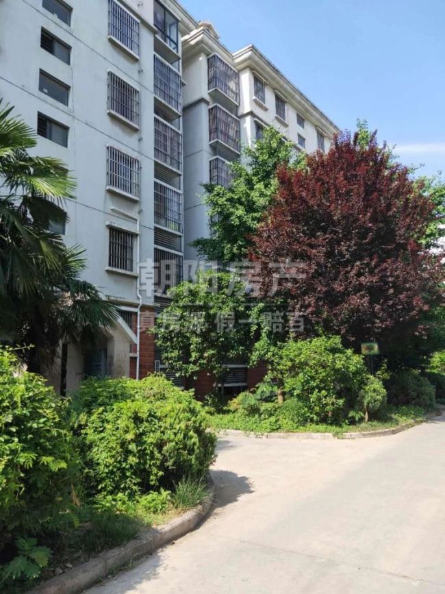 二手房 寿县 寿春镇 现代汉城