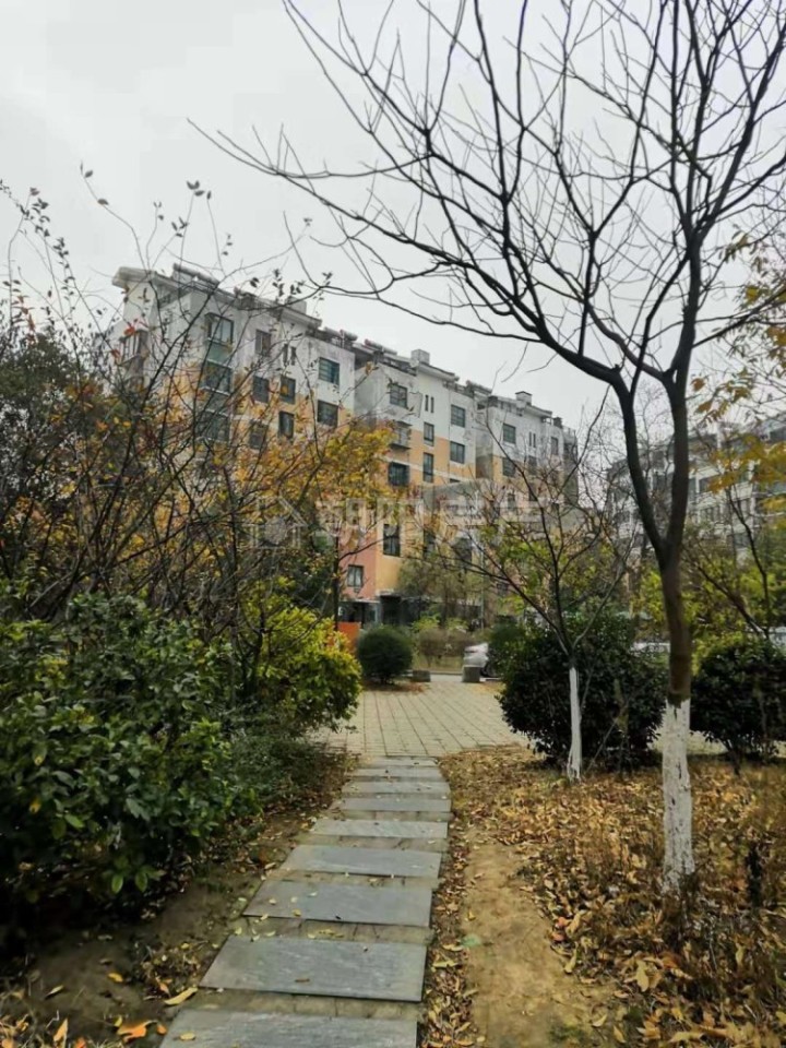 熙城熙园大户型采光好价格低