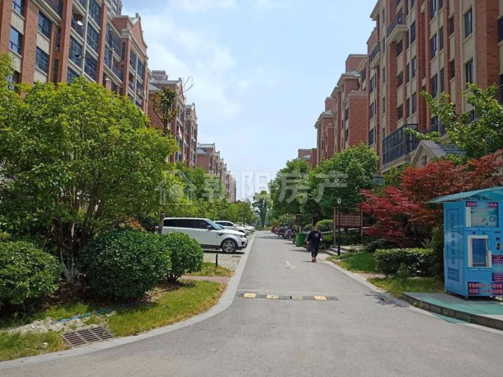 大顺路翰林首府 85平方 2室2厅 精装修-淮南寿县租房-安徽淮南朝阳