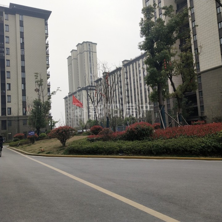 新城区御景学府春晖苑四室两厅洋房出售