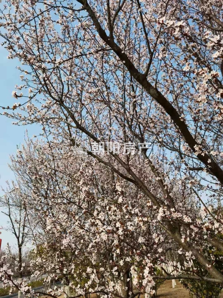 绿苑山庄3室2厅简装出售 十八小学区稀缺楼层