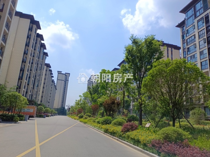 御景学府尚书苑,洋房一楼114平方,三室二厅毛坯房