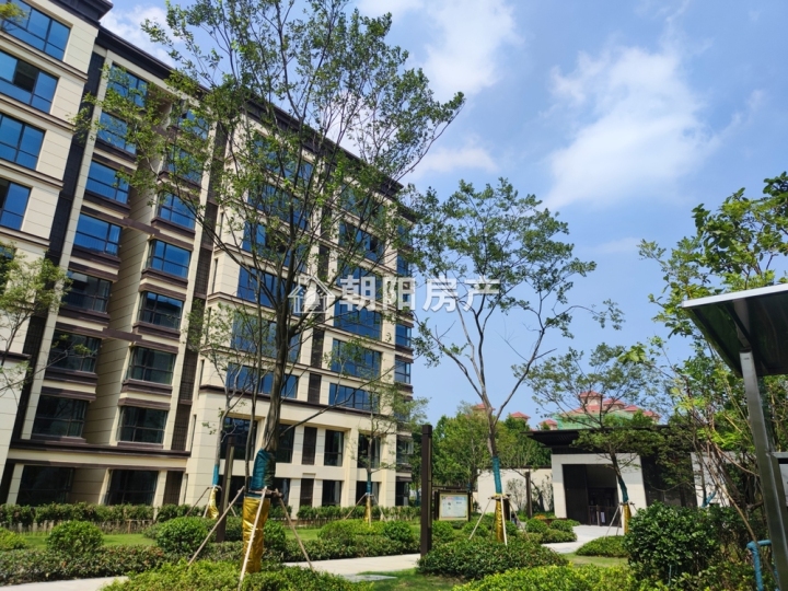 舜山名邸纯洋房社区一楼带院子好房急售-淮南田家庵区二手房-安徽淮南