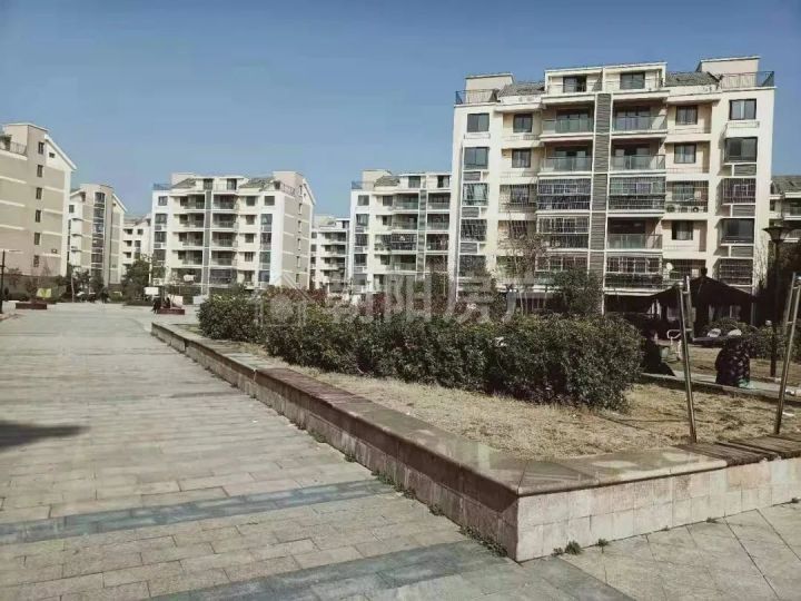 西湖花园a 房东急售 拎包入住-淮南寿县二手房-安徽淮南朝阳房产网