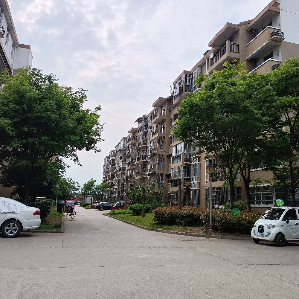 西门外西湖花园b区简单装修出租出售